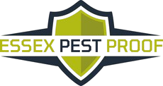 Essex Pest Proof