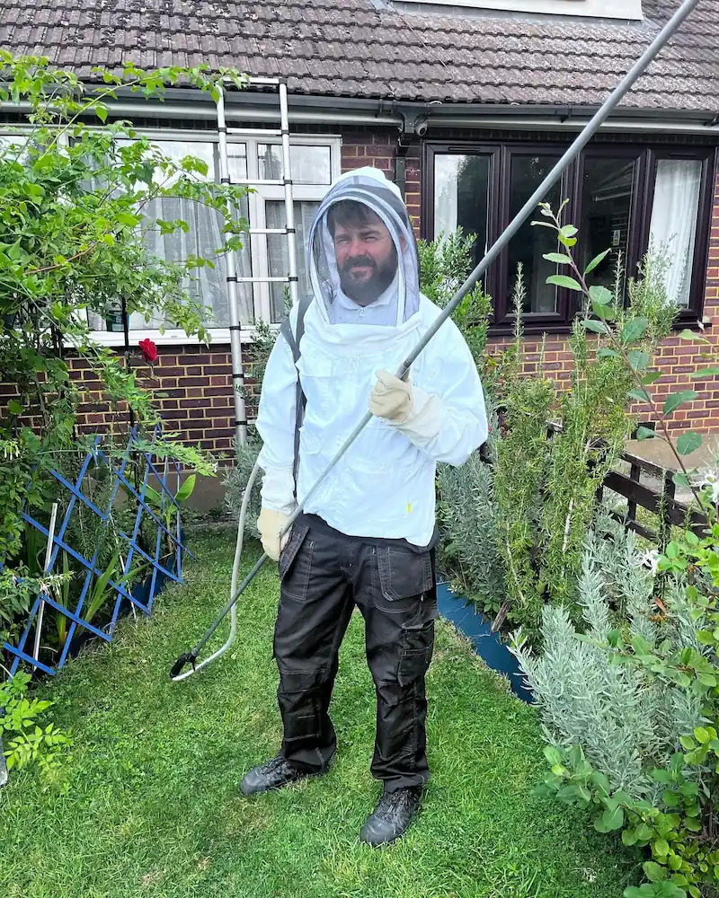 Essex Wasp Nest Removal