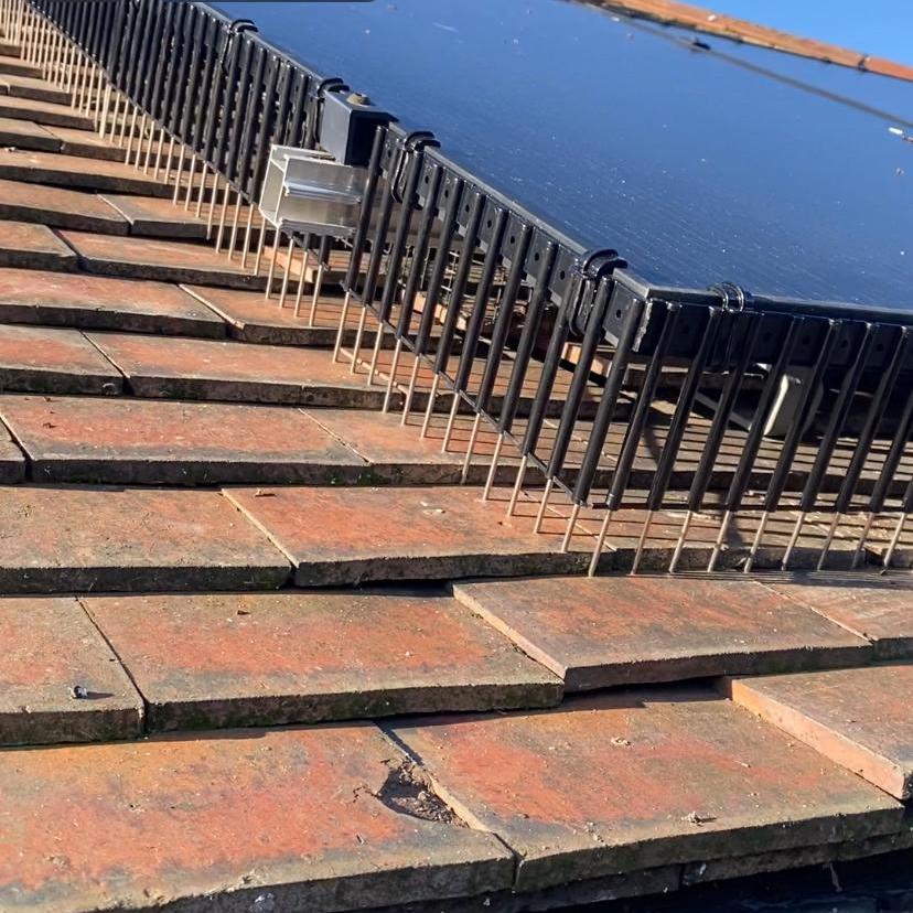 pigeon proofed solar panels 