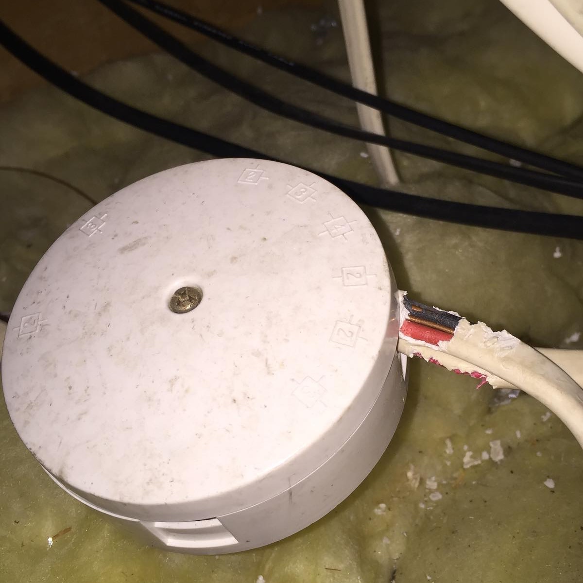 A chewed cable in a loft following a pest infestation 