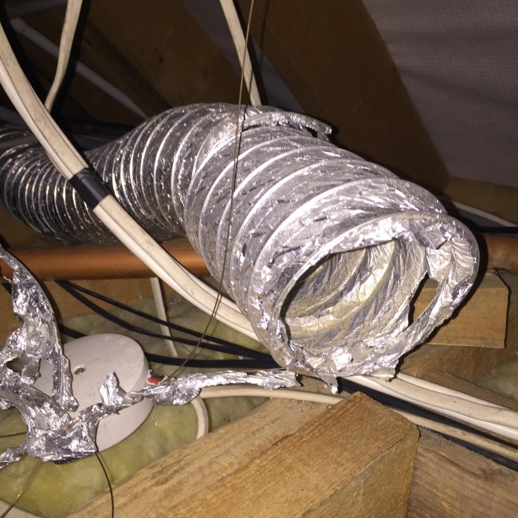 A dirty loft following a pest infestation