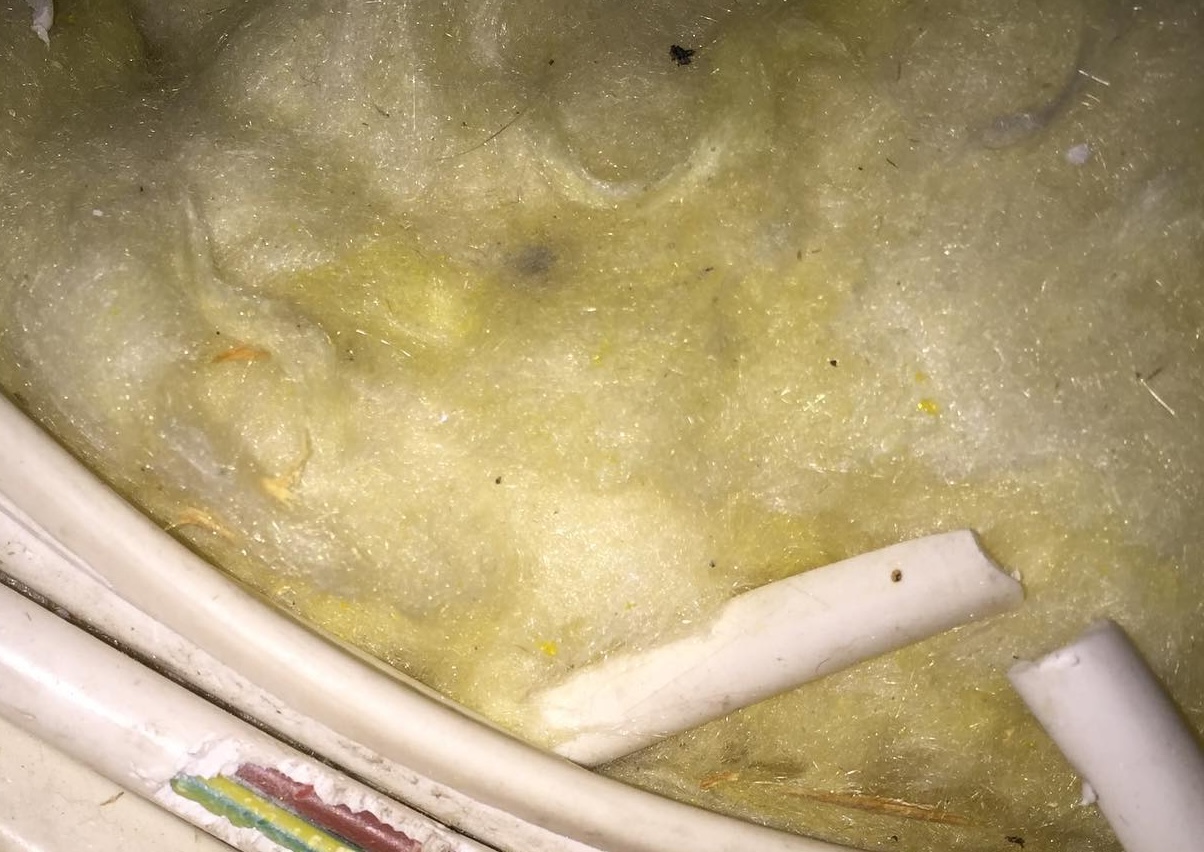 Close-up of loft insulation