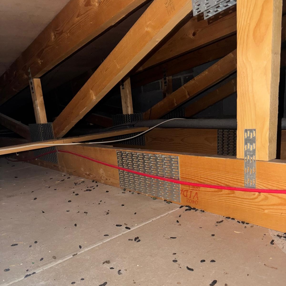 A loft contaminated with rodent droppings