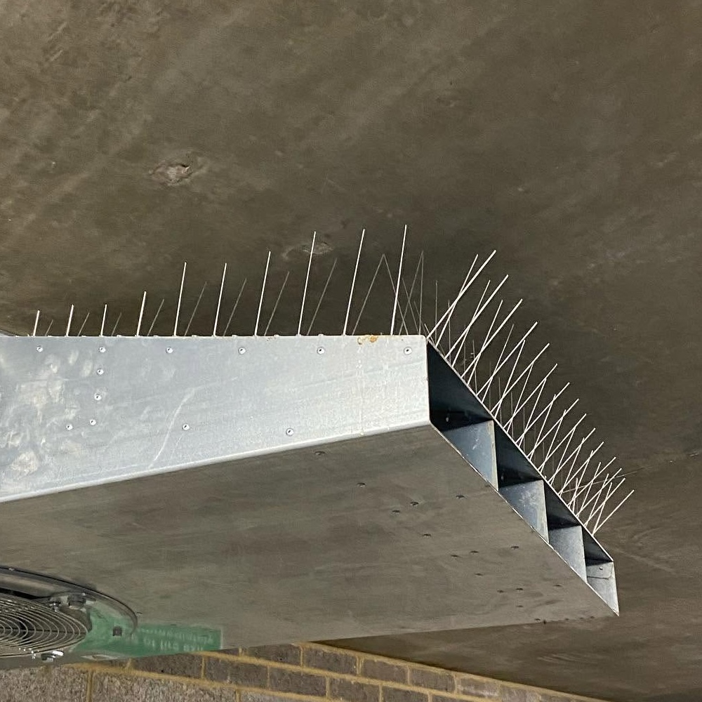 Bird spikes