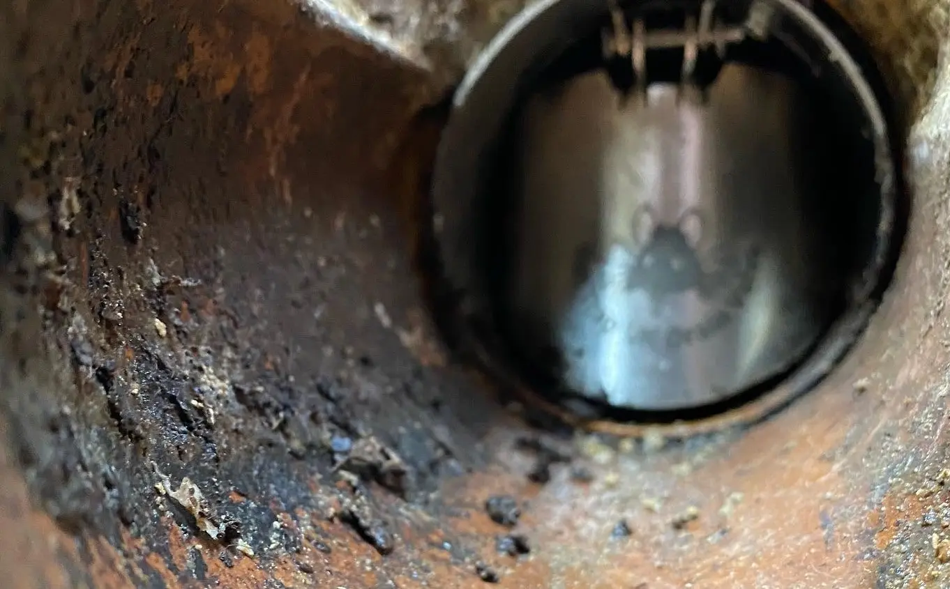 A drain with a rat drain blocker